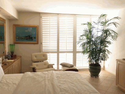 Best Plants For Bedroom 10