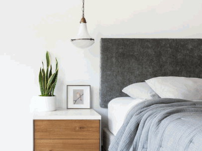 Best Plants For Bedroom 5