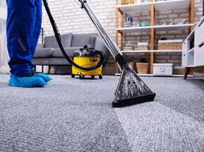 Does Carpet Cleaner Work On Rugs 3