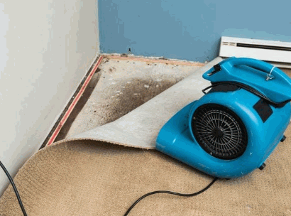 How To Clean Bedroom Carpet 14