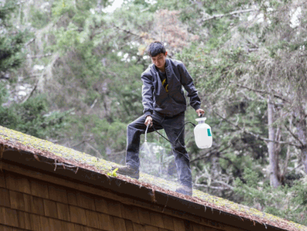 Can You Pressure Wash The Roof 23