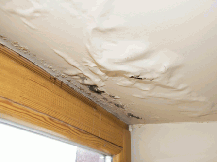 Can You Pressure Wash The Roof 18